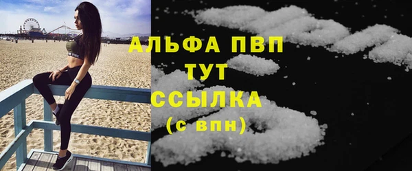 спиды Елизово