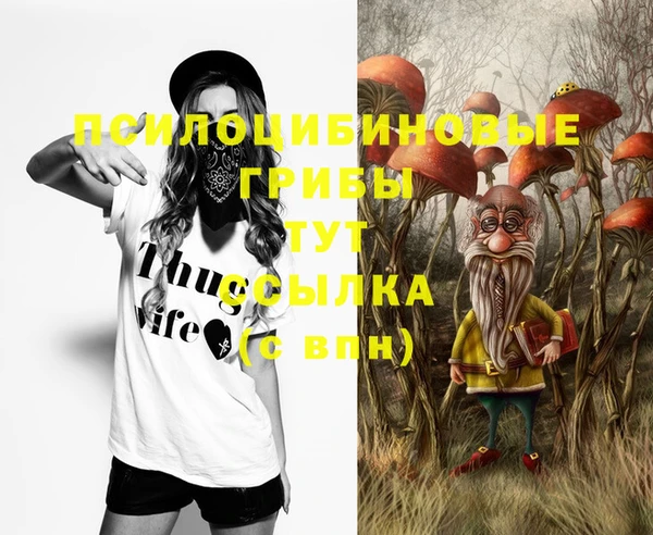 спиды Елизово