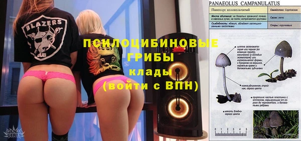 спиды Елизово