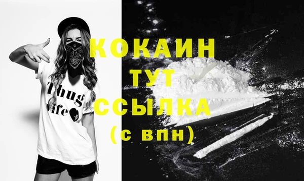 спиды Елизово