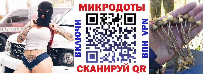 Купить  Урень  Псилоцибиновые грибы GOLDEN TEACHER 